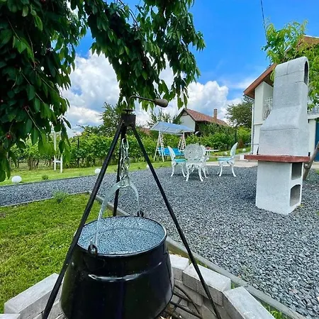 Zafir Vendeghaz Holiday home *
